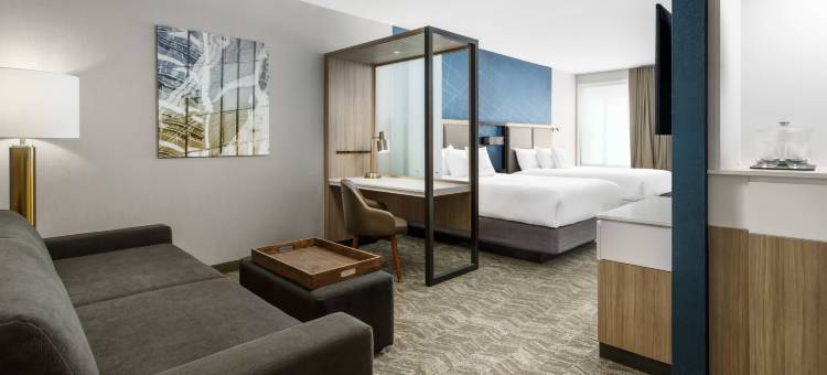 贝尔蒙特红木海岸SpringHill Suites酒店(SpringHill Suites Belmont Redwood Shores)图片