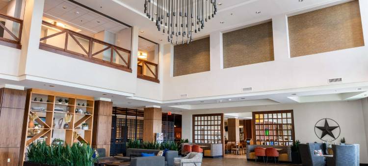 德鲁里广场酒店达拉斯阿林顿(Drury Plaza Hotel Dallas Arlington)图片