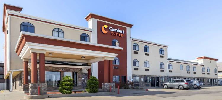 舒适套房酒店-费尔格朗斯西(Comfort Suites Fairgrounds West)图片