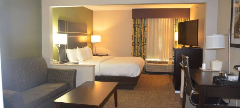 舒适套房酒店 - 托莱多 (I80-90)(Comfort Inn & Suites Maumee - Toledo I80-90)图片