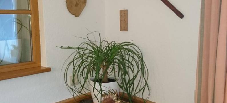 费舍尔乡村别墅旅馆(Pension Landhaus Fischer)图片