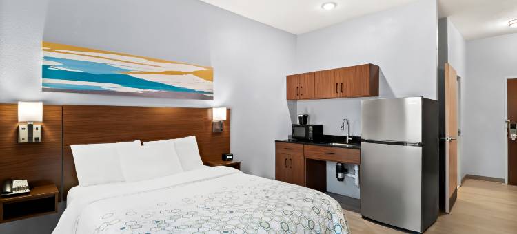 东兰辛家乡一室公寓-奥克莫斯(HomeTowne Studios East Lansing - Okemos)图片