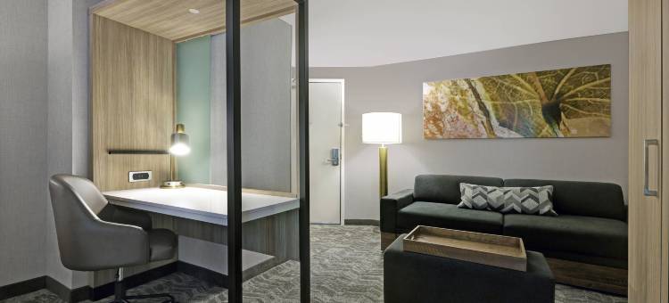 棕榈沙漠万豪SpringHill Suites酒店(SpringHill Suites Palm Desert)图片