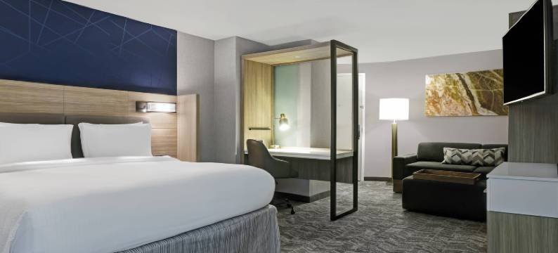 棕榈沙漠万豪SpringHill Suites酒店(SpringHill Suites Palm Desert)图片