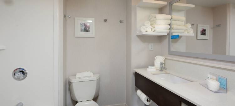 夏洛特北-诺曼湖欢朋酒店(Hampton Inn Charlotte-North/Lake Norman)图片