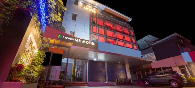 Treebo MR 汽车旅馆，距机场10分钟(Treebo MR Motel, 10 Mins to Airport)图片