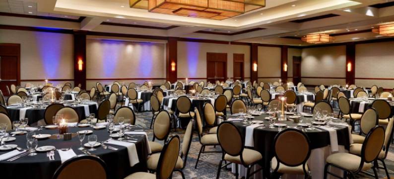 温德姆 亚特兰大 巴克海德酒店及会议中心(Wyndham Atlanta Buckhead Hotel & Conference Center)图片