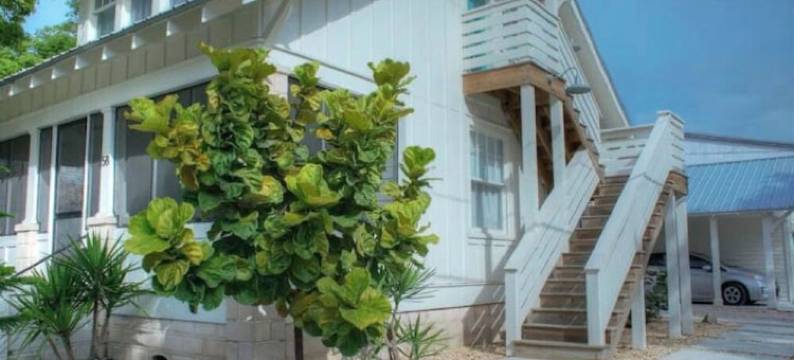 Luxe Lemon Loft in Historic Downtown St Aug图片