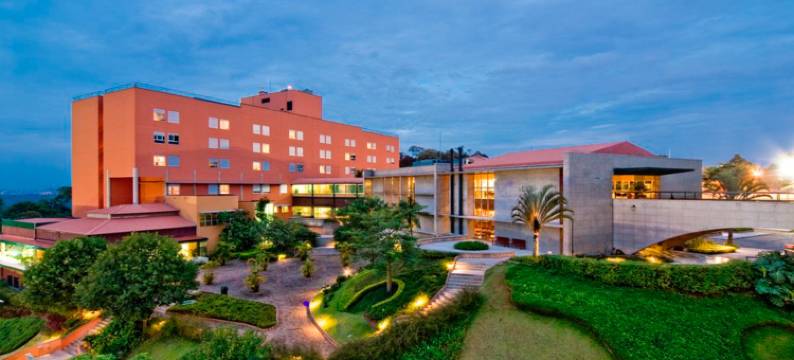 希尔顿织锦系列的Almenat Embu das Artes(Almenat Embu Das Artes, Tapestry Collection by Hilton)图片