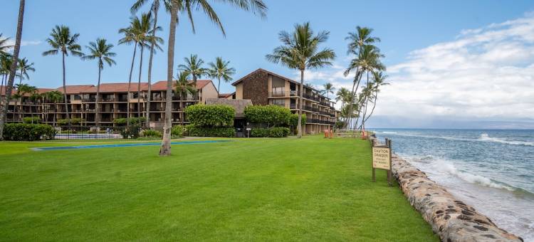 免度假村费及停车费精美海滨一层公寓配有空调.(No Resort or Parking Fees. Beautiful Ocean Front, Ground Level Condo with A/C.)图片