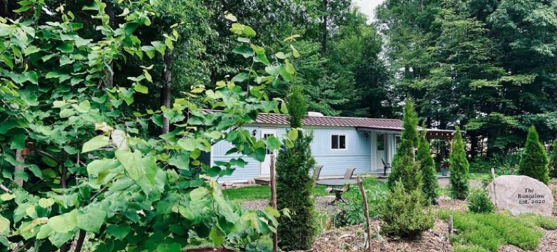 情侣浪漫乡村小屋，私密，桶式泳池，鸟类与野生动物(Couples Romantic Country Bungalow, Private, Stock Tank Pool, Birds, Wildlife)图片