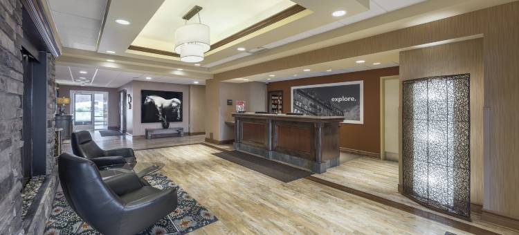 蒙克顿新不伦瑞克希尔顿欢朋套房酒店(Hampton Inn & Suites by Hilton Moncton)图片