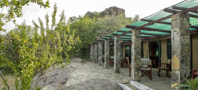 玛布斯墨维塞雷娜豪华帐篷(Mbuzi Mawe Serena Camp)图片