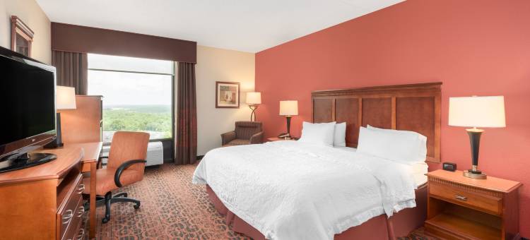 加沙地带欢朋布兰森酒店(Hampton Inn Branson-West)图片