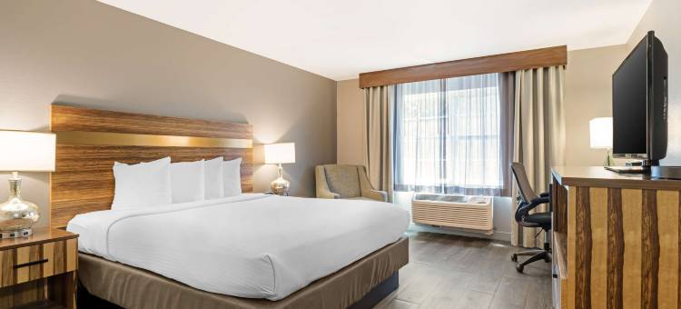 雪松贝斯特韦斯特酒店(Best Western Cedar Inn  Suites)图片