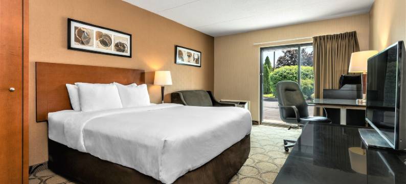 蒂明斯舒适酒店(Comfort Inn Timmins)图片