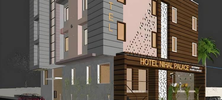 尼哈尔宫酒店(Hotel Nihal Palace)图片