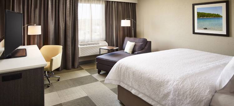 希尔顿欢朋酒店-萨尼亚/爱德华角(Hampton Inn by Hilton Sarnia)图片