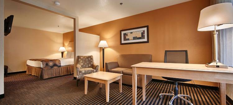 棕榈阁贝斯特韦斯特酒店(Best Western Palm Court Inn)图片