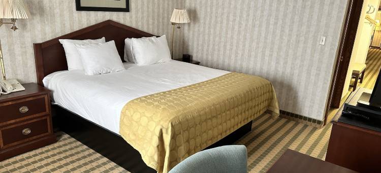 萨吉诺华美达套房酒店(Ramada by Wyndham Saginaw Hotel & Suites)图片