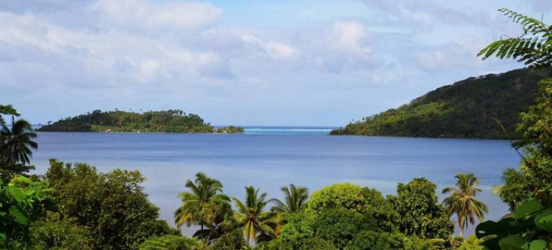 图普纳酒店(Pension Tupuna)图片