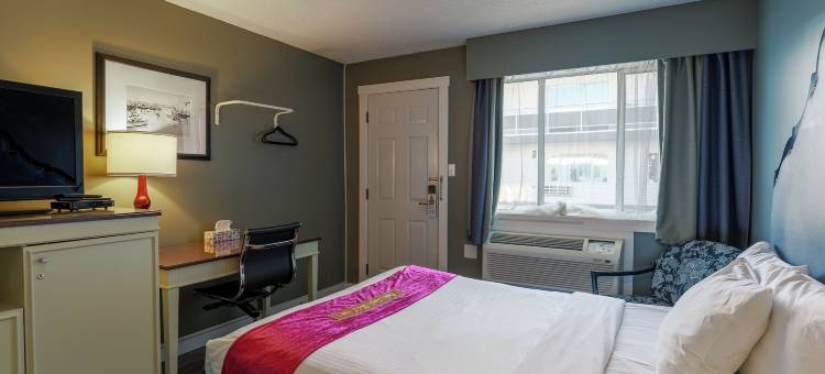 赢家汽车旅馆(Ace Motel)图片