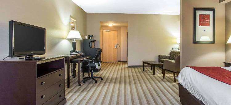 舒适套房酒店(Comfort Suites Smyrna)图片