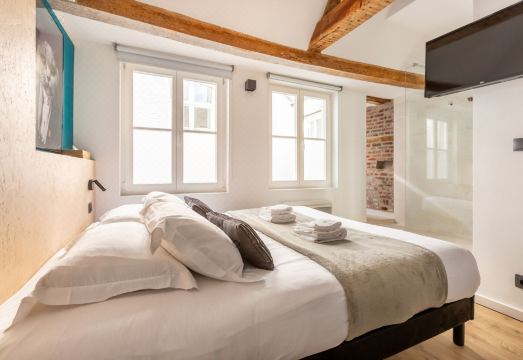 Au Chat Qui Dort Lille - MagasinHotel Overview