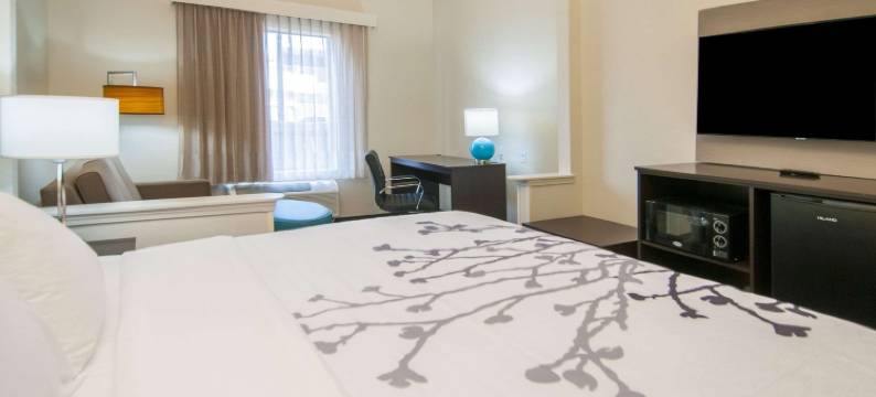 舒眠套房酒店(Sleep Inn & Suites)图片