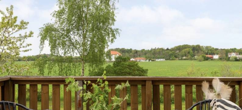 沙微蓝(Solglimt)图片