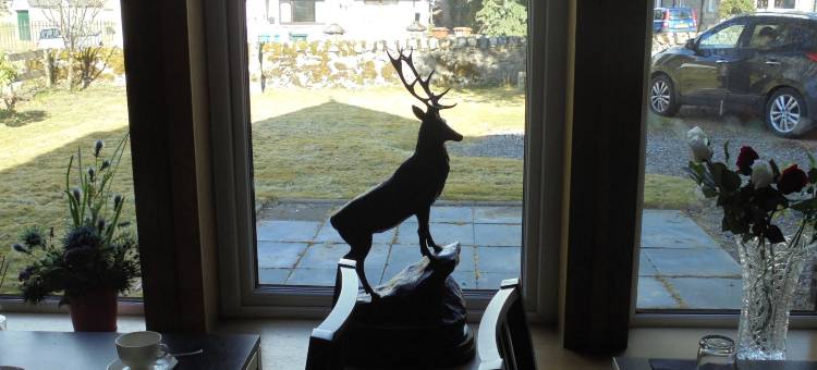 阿望黛尔之家旅馆(Avondale House)图片