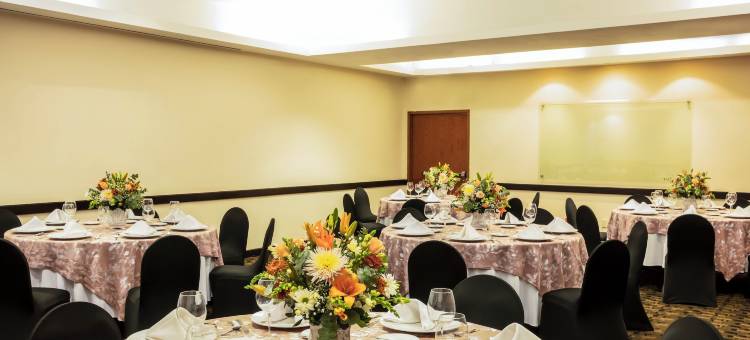 菲斯塔快捷酒店圣路易斯波托西东方(Fiesta Inn Express San Luis Potosí Oriente)图片