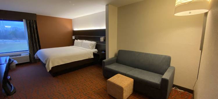 大都市智选假日酒店(Holiday Inn Express Metropolis)图片