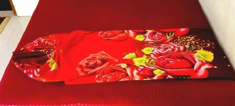 埃勒森林浴(Ella Forest Bath)图片