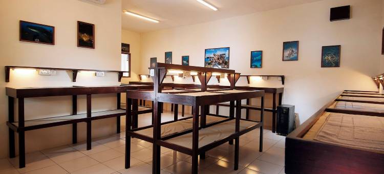 索利图德蓝碧度假村(Solitude Lembeh Resort)图片