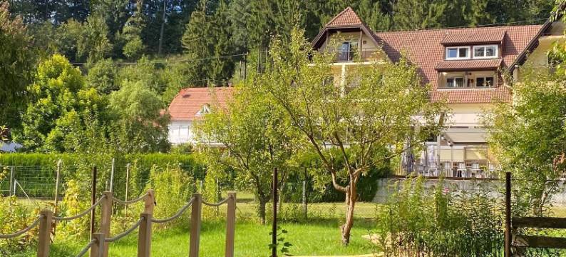 皇冠 K 酒店(Hôtel Restaurant la Couronne by K)图片