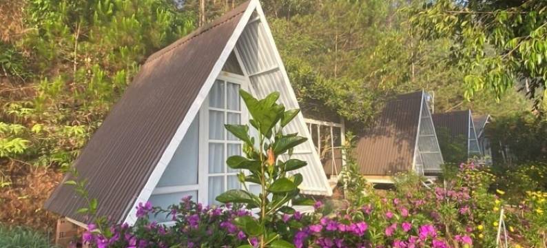 雪化洪波平房酒店(Tuyet Hoa Hon Bo Bungalow)图片