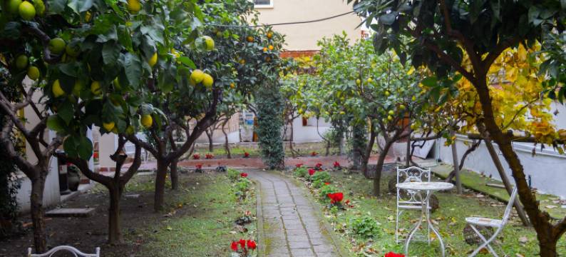 卡普齐尼艺术酒店(Palazzo Cappuccini Art Relais)图片