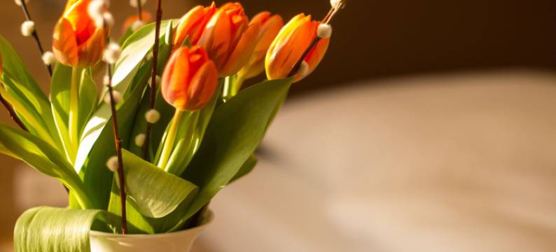 希尔迪特酒店(Hotel Heldt)图片