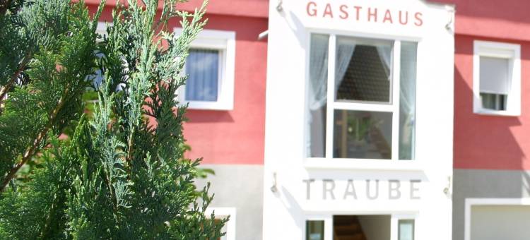 Gasthaus Traube图片