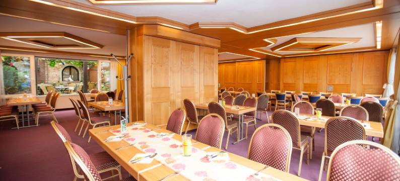 楚普法尔茨酒店(Hotel zur Pfalz)图片