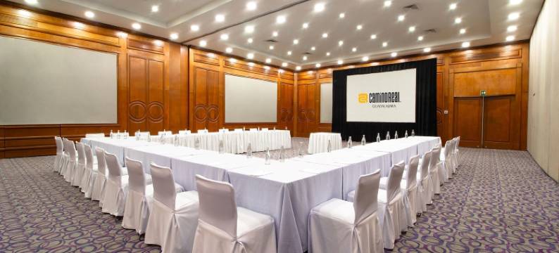 瓜达拉哈拉卡米诺里尔酒店(Camino Real Guadalajara)图片