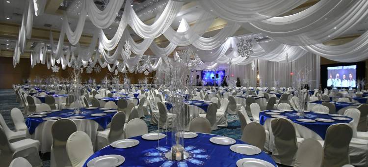 罗森广场酒店(Rosen Plaza Hotel Orlando Convention Center)图片