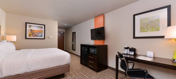 汤博尔智选假日酒店(Holiday Inn Express & Suites Houston NW - Tomball Area)图片