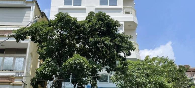 茉莉花酒店(Mai Vang Hotel)图片