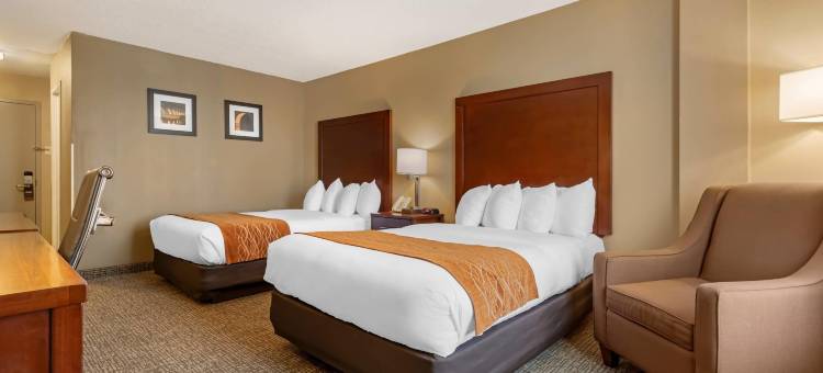 MSP机场美国购物中心舒适酒店(Comfort Inn MSP Airport - Mall of America)图片