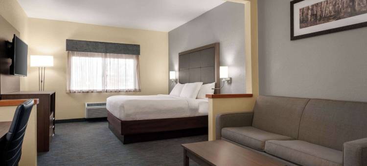 Wingate by Wyndham Appleton(Wingate by Wyndham Appleton)图片