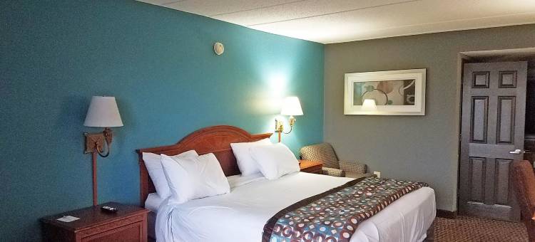 圣路易斯市中心美洲最佳价值酒店(Americas Best Value Inn-St. Louis / Downtown)图片