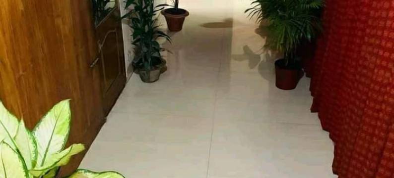 绿色之家(Green House)图片