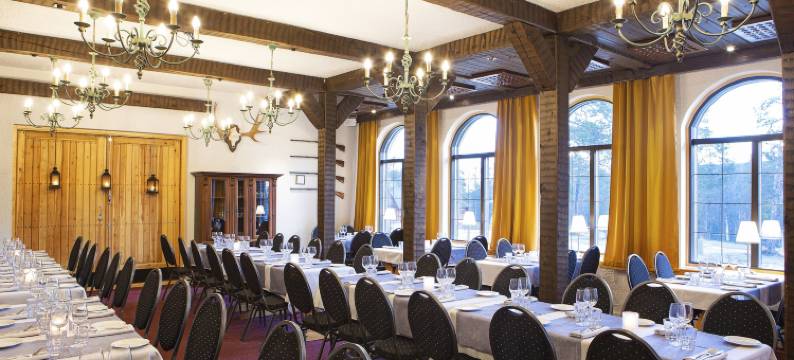 瑞肯林纳拉普兰酒店(Lapland Hotels Riekonlinna)图片